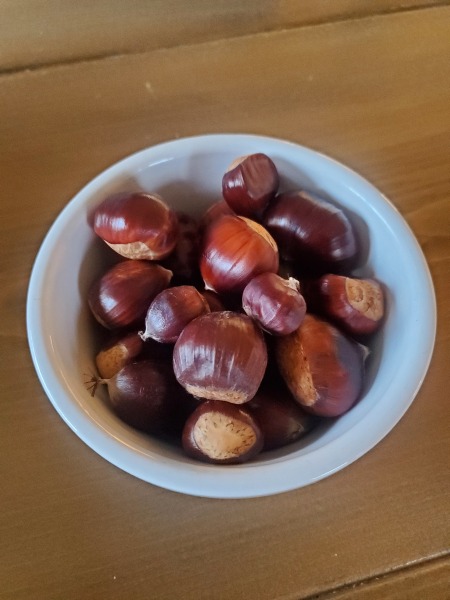 Poncetastic Christmas 2024