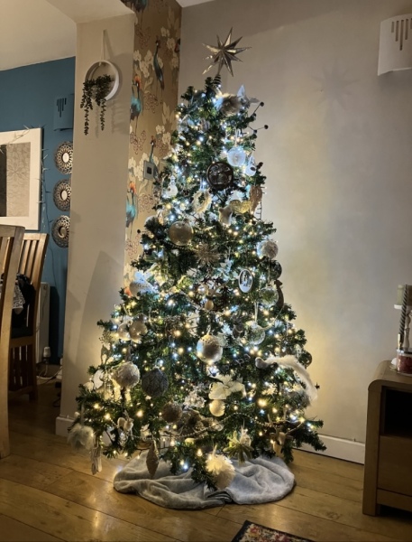 Show us your Christmas trees