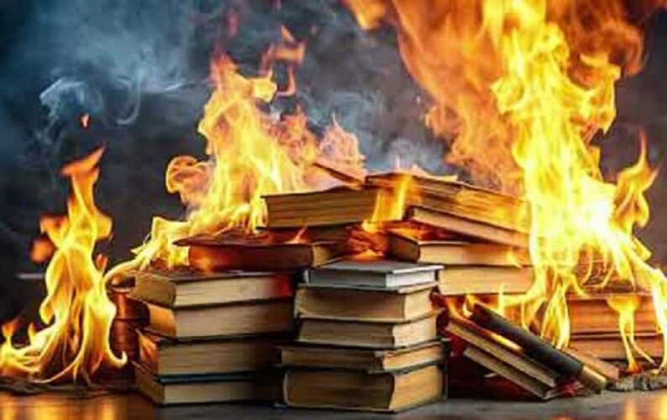 Quest for Justice and Criminal Organization in Ireland