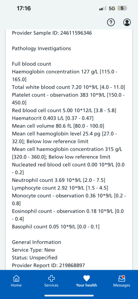 Can someone explain this blood results to me?