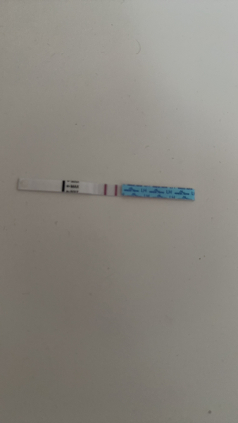 Nov 2024 TTC 💖 part 2 ✨