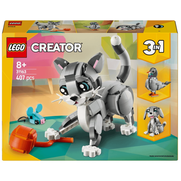 To show me your Lego collection?