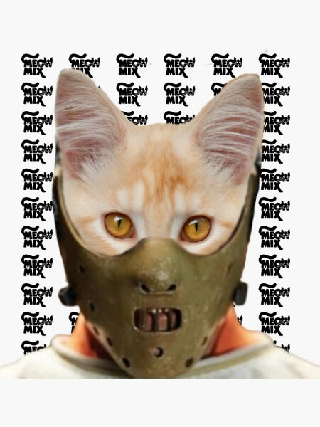 Elderly neighbour feeding our cat