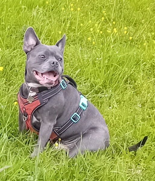 The Continuing Support Thread for Anyone Trying to Lead an Alcohol-Free Life Autumn 2024