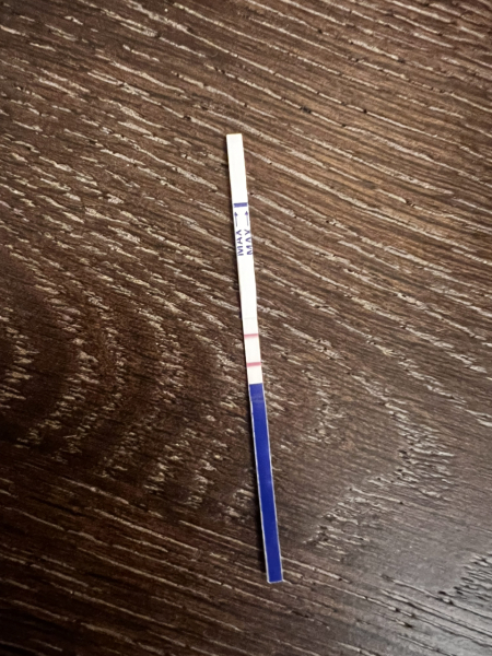 Nov 2024 TTC 💖 part 2 ✨