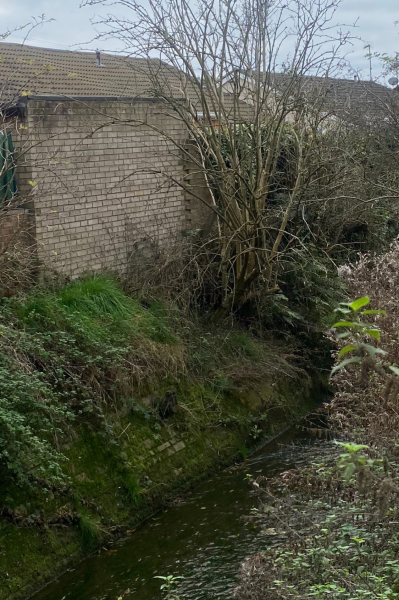 Price reduction or pull out?