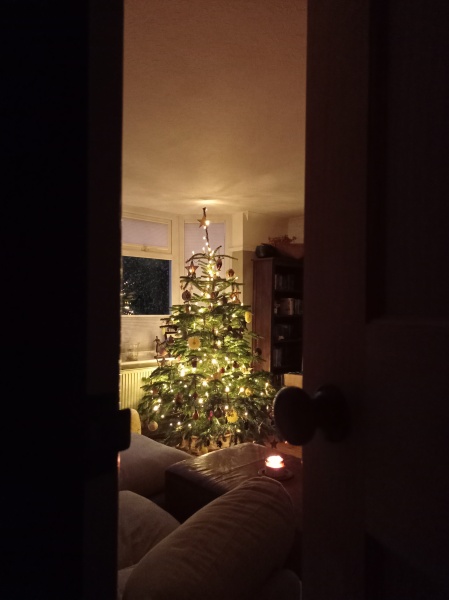Show us your Christmas trees