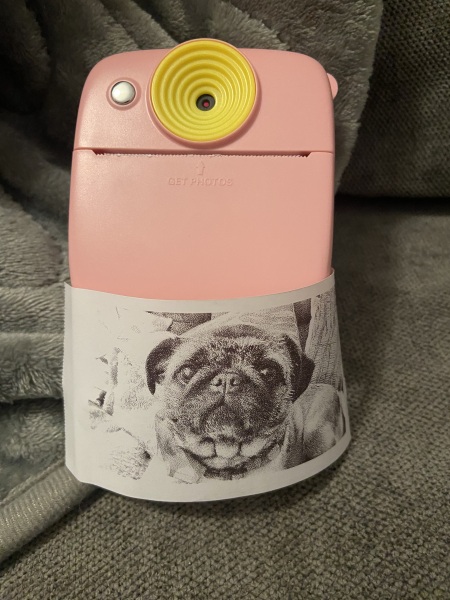 Thread 8 - the one with Poopy the troll