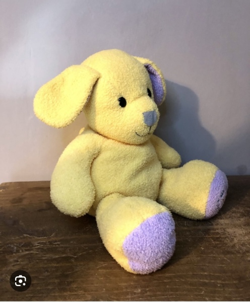 Chad valley my first friend puppy