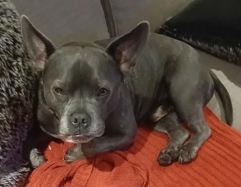 The Continuing Support Thread for Anyone Trying to Lead an Alcohol-Free Life Autumn 2024