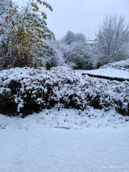 It’s snowing ❄️