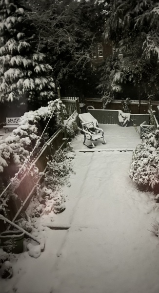 It’s snowing ❄️