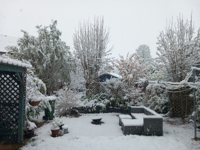 Season of mist and mellow fruitfulness...and ramping up those Christmas preparations! Countdown to Christmas 2024 (thread 3) (title edited by MNHQ @request of OP)