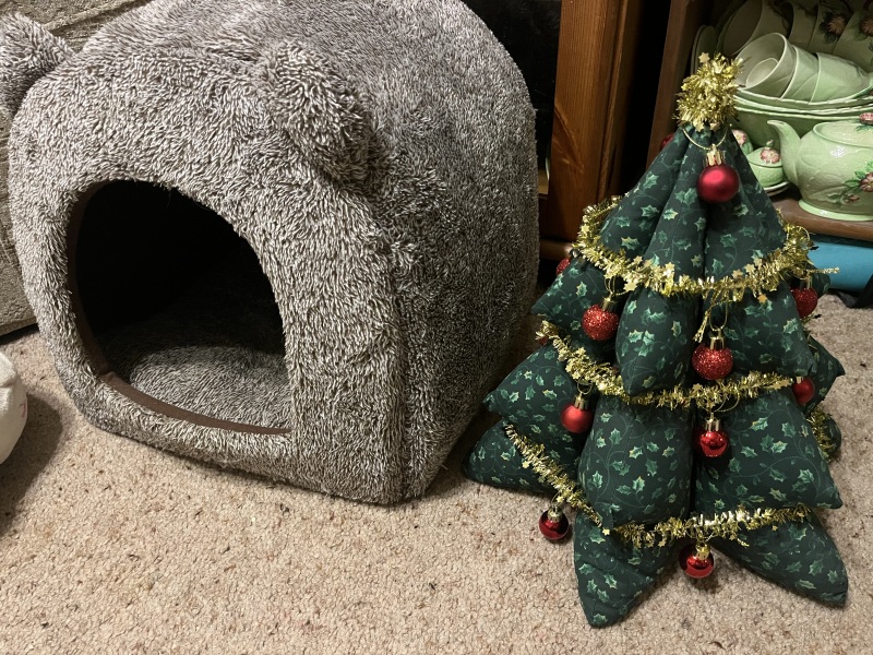 Trick or Cat Treat? The Excellent Cats do Halloween