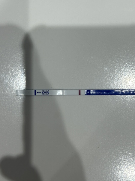 3 dpo