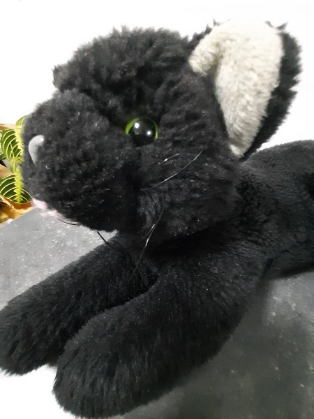 Please help me find this toy!!