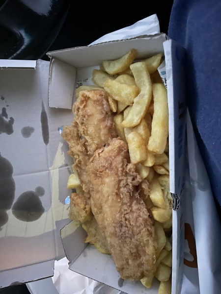 A thread for those of us who just want to tell each other things about our day