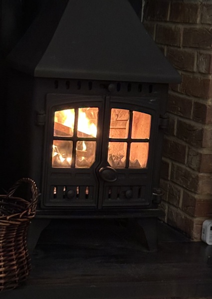 Has anybody got a fire or logburner lit at home today?
