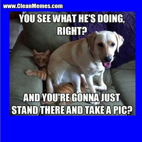 The grown-ups have left the building - Trump thread #136