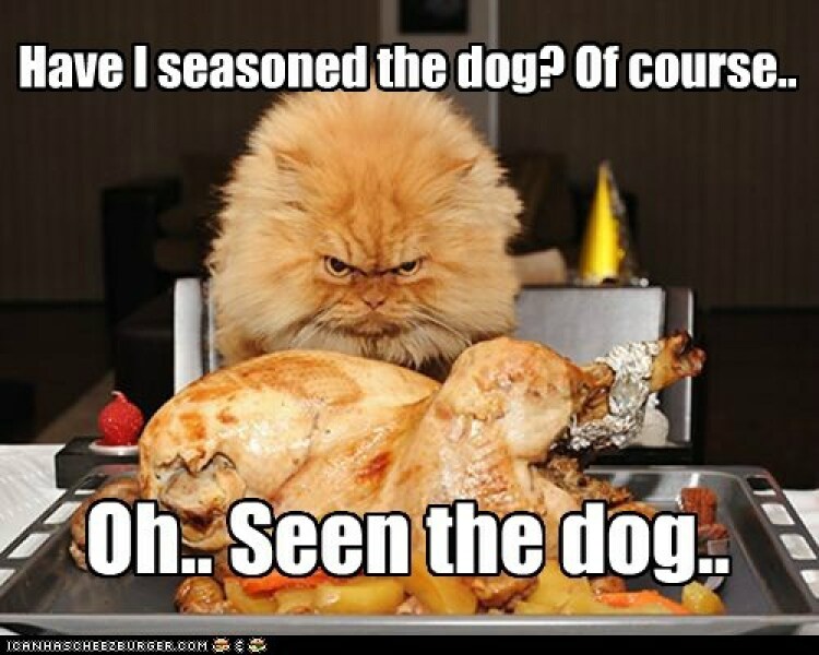 The grown-ups have left the building - Trump thread #136