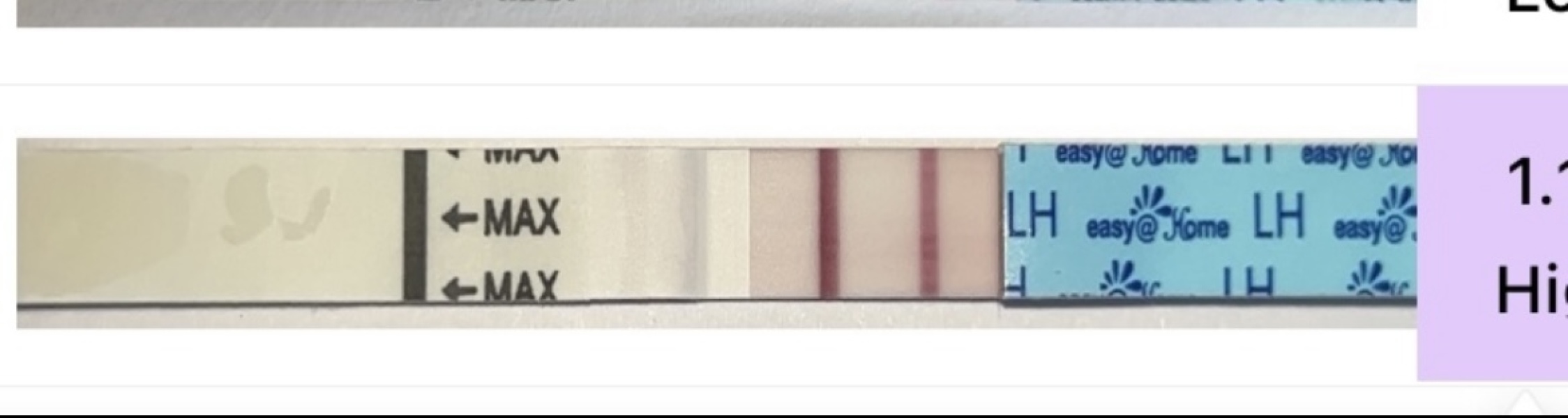 Help with confirming LH test