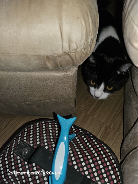 The Nigel Slater Christmas Chronicles Readalong 2024 Part 2