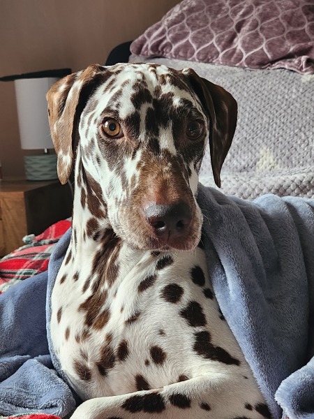 Mounjaro August starters thread 8