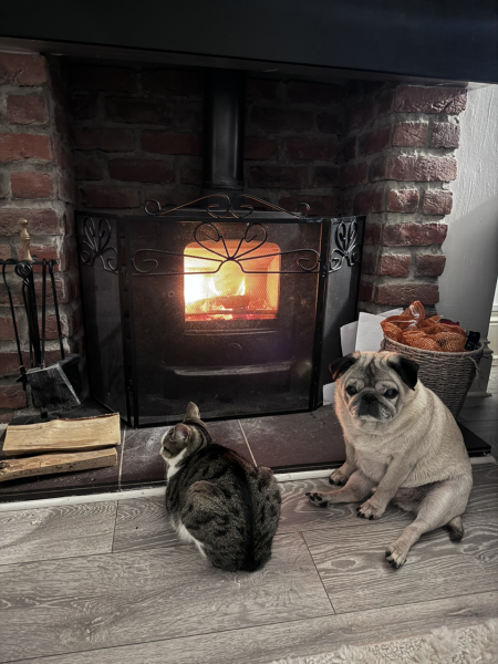 Has anybody got a fire or logburner lit at home today?