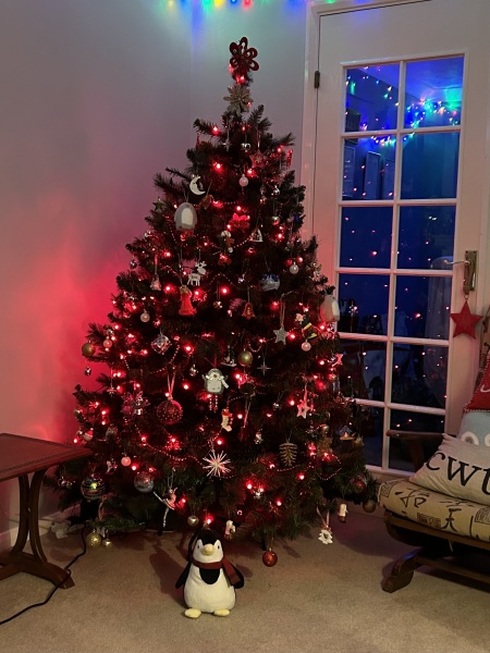 Show us your Christmas trees