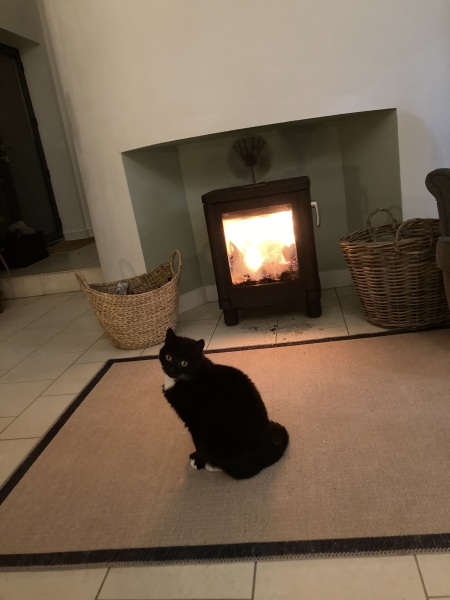Has anybody got a fire or logburner lit at home today?