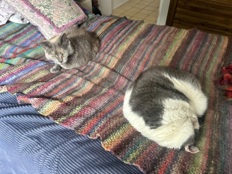 Does anyone knit / crochet / sew / create items for their home?