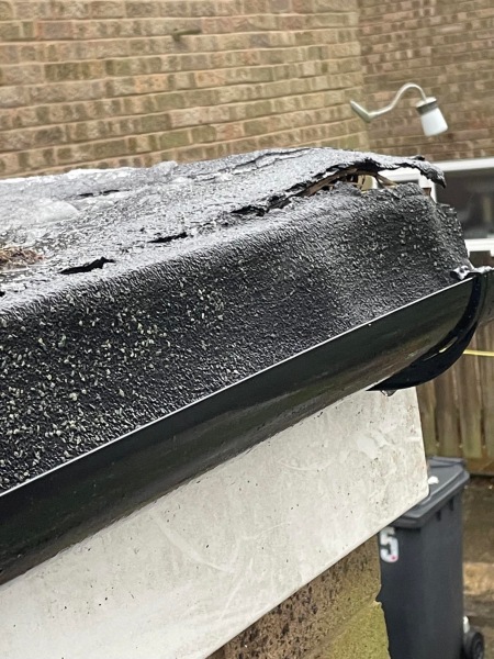 Neighbour’s plant has damaged my roof