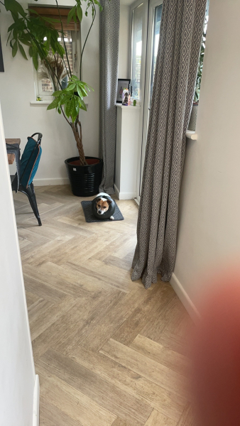 The Nigel Slater Christmas Chronicles Readalong 2024 Part 2