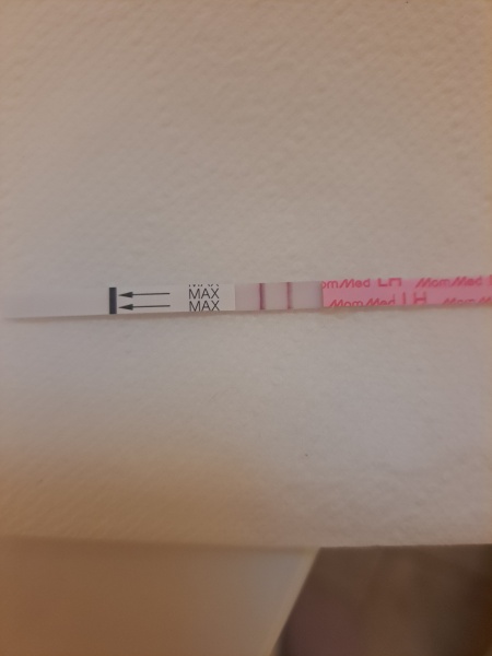 December TTC Support Group