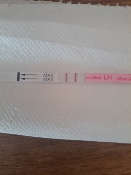 December TTC Support Group