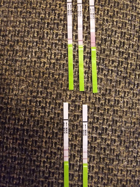 One Stop Ovulation Test Strips - Different Results