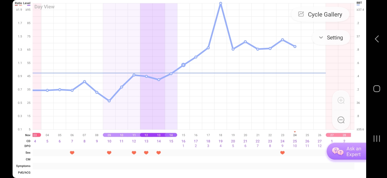 Nov 2024 TTC 💖 part 2 ✨