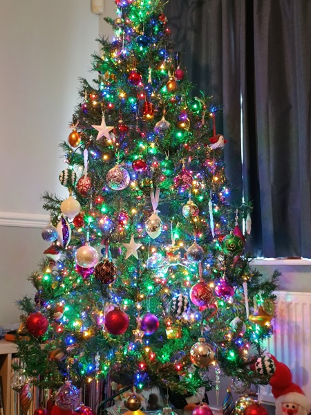 Show us your Christmas trees
