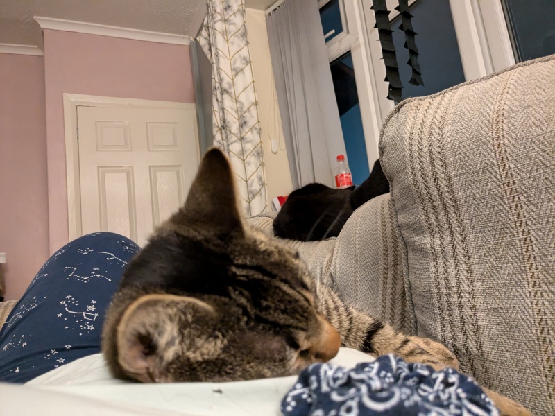 What are we all up to?