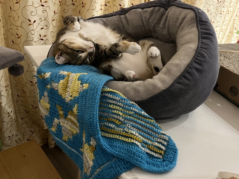 Does anyone knit / crochet / sew / create items for their home?