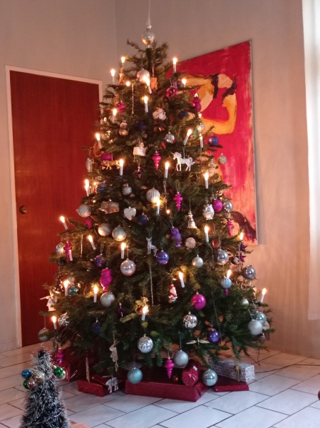 Show us your Christmas trees