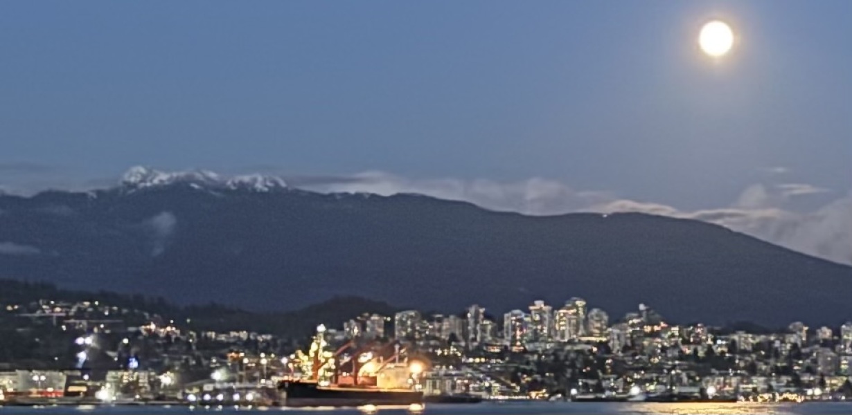 Come and tell me your dull and unexciting news 31: Calmly through the day