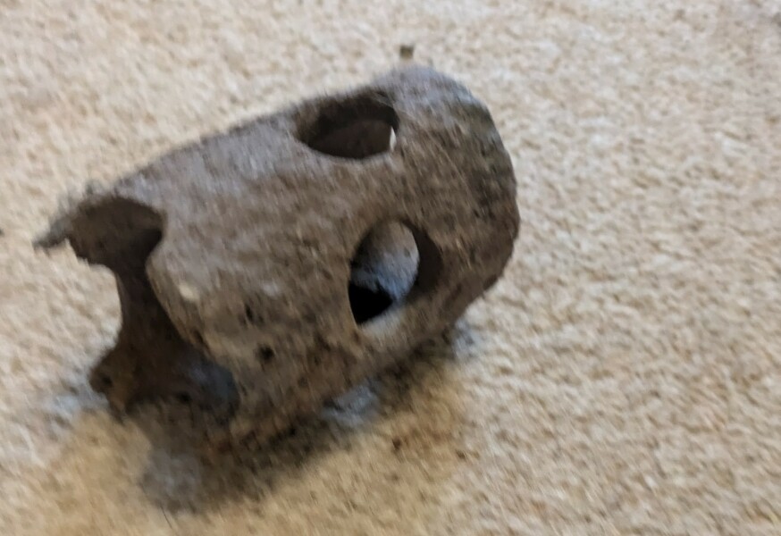 To ask what this is?