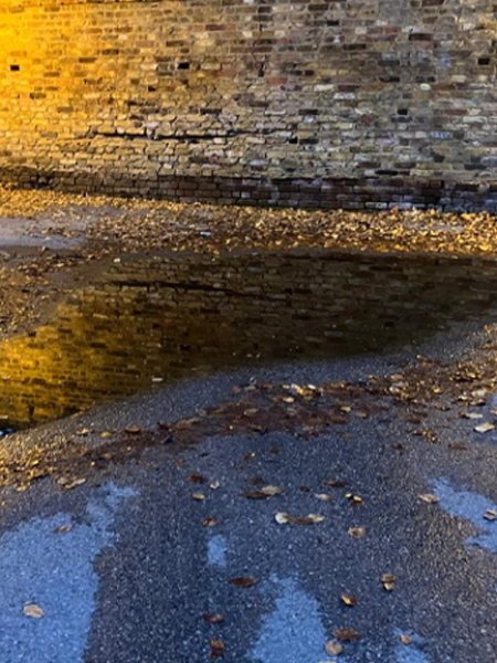 The Nigel Slater Christmas Chronicles Readalong 2024