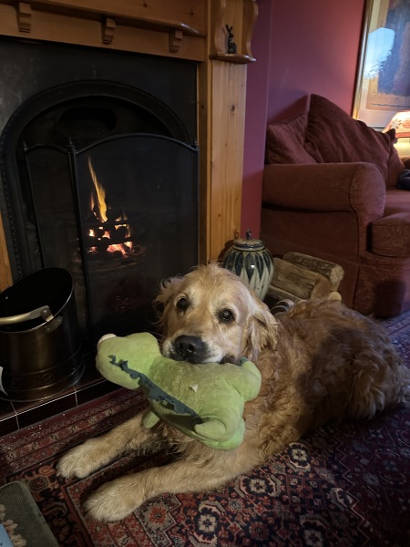 The Nigel Slater Christmas Chronicles Readalong 2024 Part 2