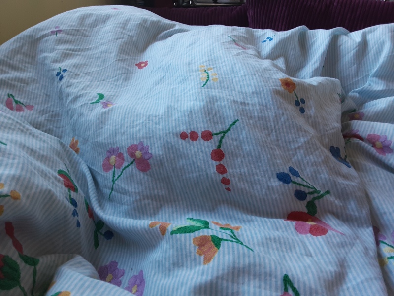 To have the dog in the bed with us?