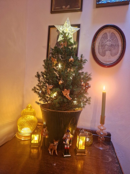 Childfree Christmas plans