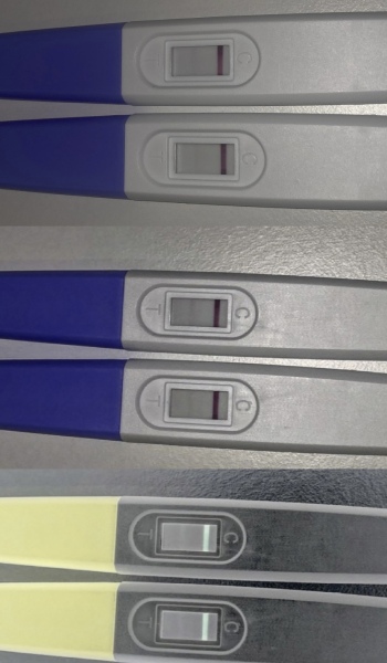 Two week wait ladies, you there?