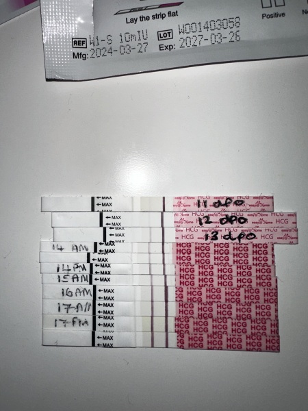 Line profession 18dpo don’t feel pregnant?