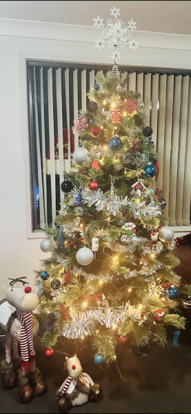 Show us your Christmas trees